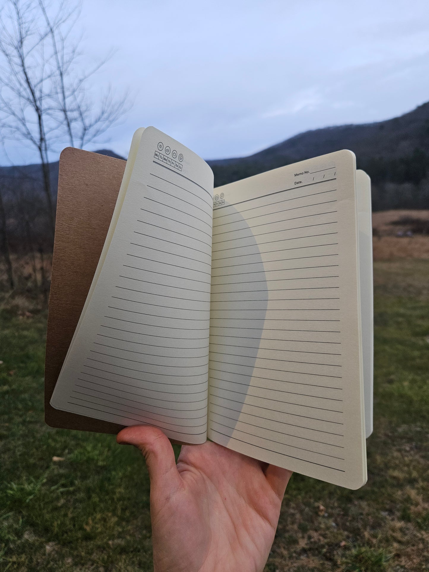 Owl Notebook