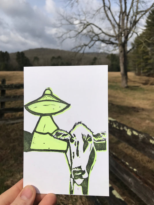 Abnormal Cow Postcard